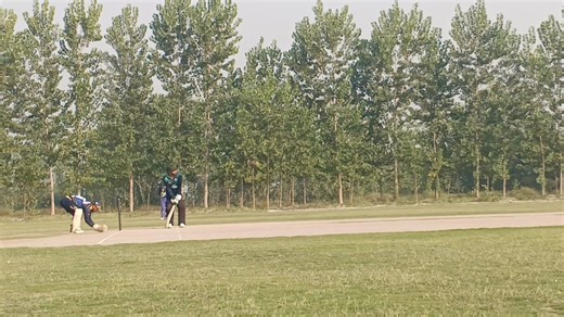 Good bating | Mian Corporation & Borang works