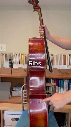 Instrument Anatomy: Cello