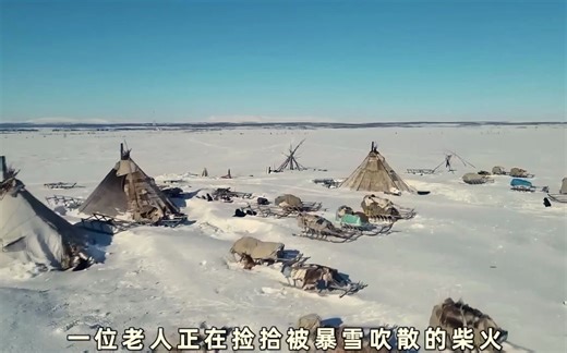 一年四季都在雪原上生存是种什么样的体验