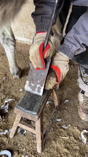 The Most Satisfying Donkey Hoof Cleaning Ever! 🐴✨ #DonkeyHoofCleaning #SatisfyingVideo #HoofCare #CleaningMaster #beforeandafterrenovation