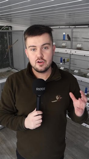 Getting to know me, the face behind OC Aviary 🐦‍⬛ 🪺 #aviary #aviculture #birds #conservation #bird | OC Aviary