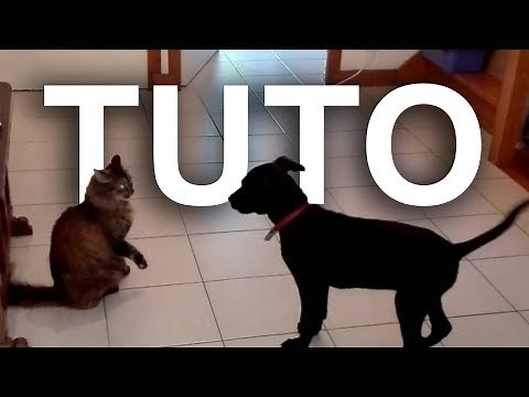 TUTO pour se débarrasser d'un boulet (vidéo BONUS de remerciement pour les 300% sur Ulule)