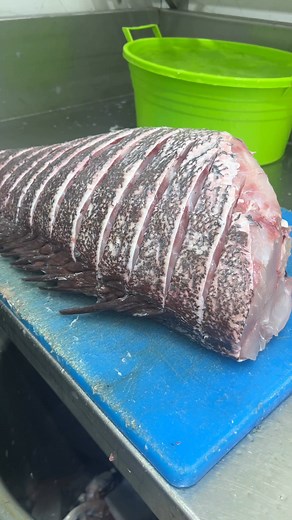 لحمة ربي يبارك | مارينا للأسماك والرخويات