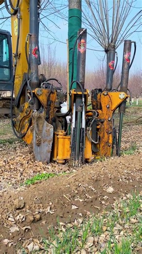 Unbeatable Tree Digger: Changqing's Top Pick for Professionals