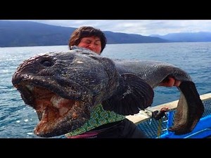 Most BIZARRE Creatures Ever Found!