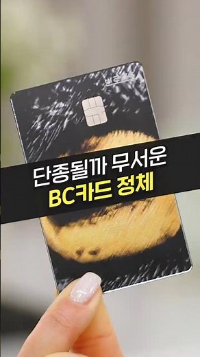 해외 3% 적립? 포인트 적립 카드는 이거 하나만 쓰세요 (BC카드, 신용카드 추천, 비씨카드, 아정당)