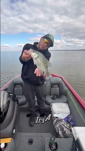 Carlyle lake crappie report November 1st 2025 #crappie #fishing #fish