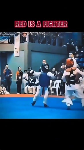 FIGHTER vs WARRIOR: The Mindset That Separates Winners From Champions #shorts #viral #motivation