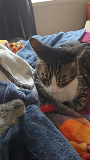 Wove, true wove. ❤️ | Laura Marie Croutch-Greenlaw