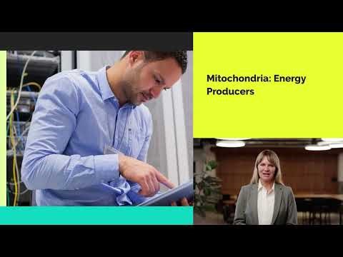 The basic structural units simplified