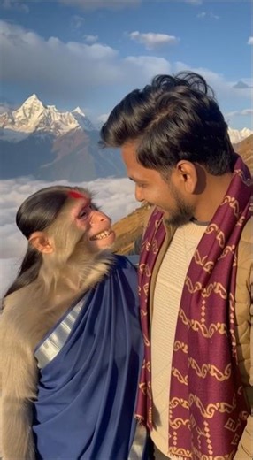 Romantic Himalayan Journey | Human Groom & Monkey Bride in Blue Saree 🏔️🐒💙