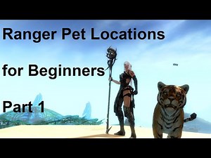 Guild Wars 2 - Ranger Pet Locations for Beginners(Part 1)