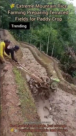 🌾 Extreme Mountain Rice Farming | Preparing Terraced Fields for Paddy Crop