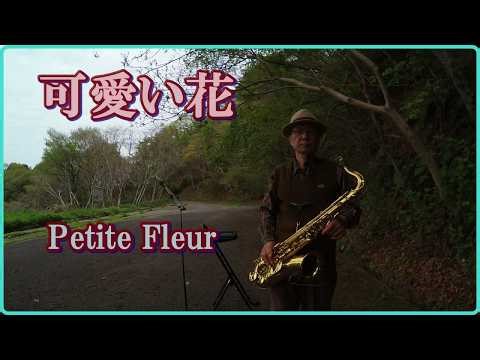 テナーサックスで「可愛い花 Petite Fleur」