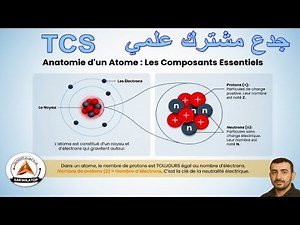 L'Atome Expliqué: Structure, Protons, Électrons & Neutralité