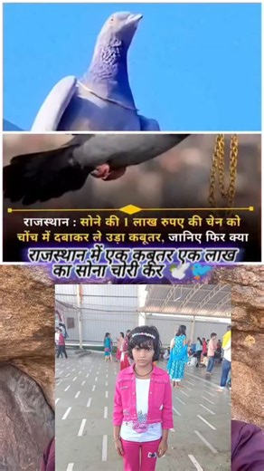 Rajesh Yadav on Instagram