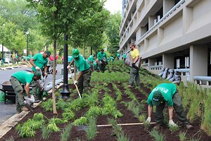 Community Service - Ruppert Landscape