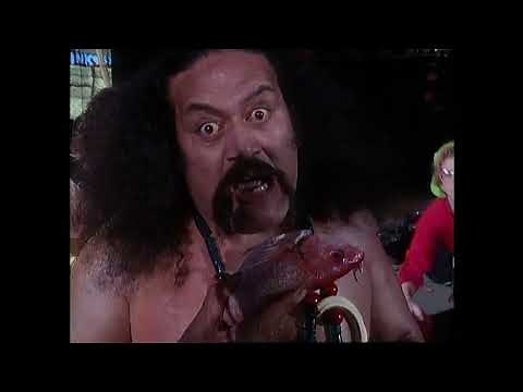 WWF Superstars 01 30 1993 (Full Show 1080p)
