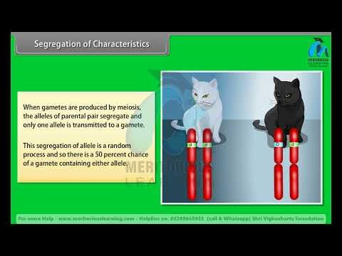 CLASS12TH | BIOLOGY | Principles of Inheritance and variation ENGLISH MEDIUM |#meritoriouslearning