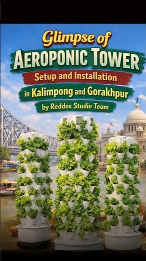 How Aeroponic Towers Work (Step-by-Step Guide) 🌱