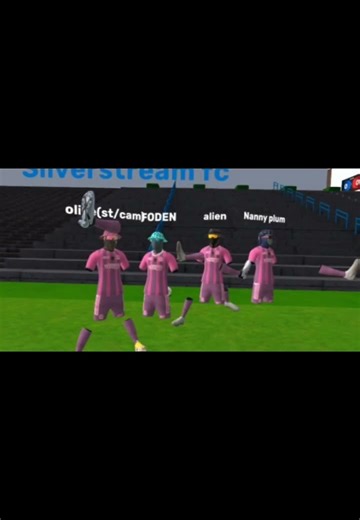 Silverstream fc