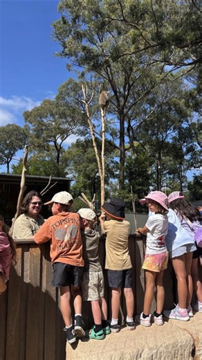 🌿 Junior Ranger School Holiday Fun – going wild about nature! 👏 Thank you to Brad and the team from the Australian Wildlife Sanctuary Australian Wildlife Sanctuary in Bargo for delivering our Junior Ranger program and inspiring curiosity and care for the environment. 🦘 Our junior rangers loved exploring, learning and connecting with nature, while developing a deeper appreciation for the world around them. It was a day full of wild fun and big smiles. 🌳 Truly tree-mendous! | Wollondilly Shire