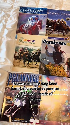 Discovering Breyer Models and Their Stories