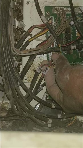 unique sorting machine #unique sortex service 9034112166