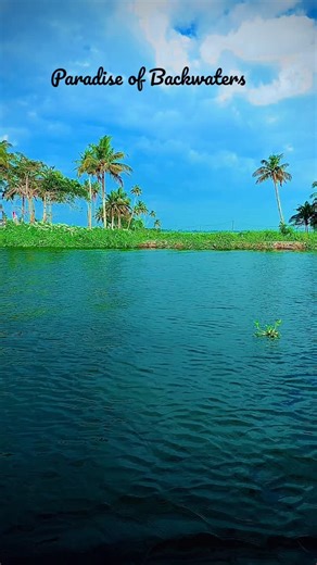 Alappuzha (Venice of the East) backwaters are a serene network of interconnected canals, lakes, and rivers in Kerala, famous for their tranquil beauty, lush palm groves, paddy fields, and unique village life, offering iconic houseboat cruises on traditional Kettuvallams.#backwatertourism #godsowncountry #keralatourism #kuttanadan_holidays #alappuzha🏝️ @kuttanadan holidays | Robin Thomas
