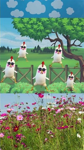 Run Chickens Run #justforfun #chickensmakemelaugh