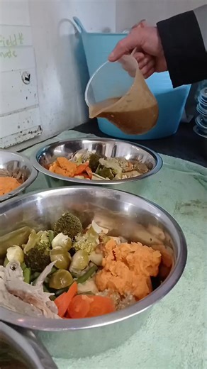 We're pretty sure that somebody mentioned that Christmas dinners were on the menu earlier today and what a feast our hounds have had 🥰😃 A huge thank you goes out to Trina, who provided, prepared and delivered for each of the lucky dogs in our care today 🧡 What a lovely gesture and it was an absolute pleasure to meet you yesterday and introduce you to our dogs 😊 Pudding will also be served a little later once they've had time to digest their first course 😃 Thank you 💚 / Diolch 💚 | Greyhoun