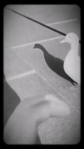 This is your sign to get sushi 🍣 #sushilover #sushimaking #sushiman #foodie