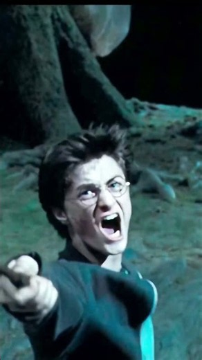 Harry in His Peak - Prisoner of Azkaban Edit