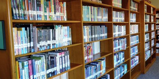 Bryan-College Station libraries offer free spring break programs for kids