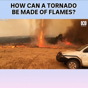 80K views · 170 reactions | In 2003, Canberra was hit by a weather system never before documented in science – a firenado. How did this storm form and are we likely to see one again? | ABC Science | Facebook