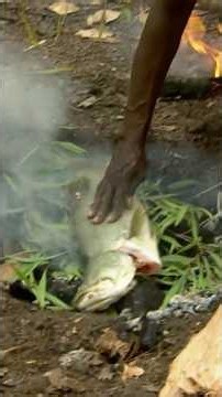 Cooking Barramundi In A Ground Oven | #travel #australia