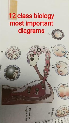 12 class biology #most important diagrams #cbse12thbiology#neet #2026