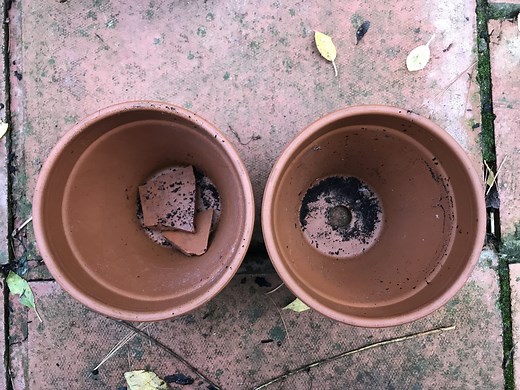 Crocks in pots: what is the myth, that they do or don’t work? | Jack Wallington | Nature & Gardens