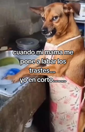 #humor #parati #mama #fyp #haha | Funny Mom TikToks