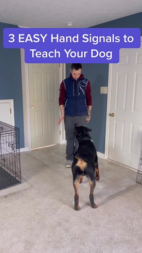 Sign Language Commands for Dog Training