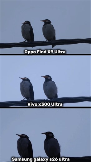 OPPO Find X9 Ultra vs Vivo X300 Ultra vs Samsung Galaxy S26 Ultra Photography Test Zoom Compare