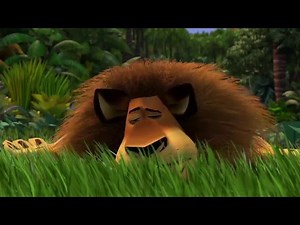 Madagascar - All About Animals