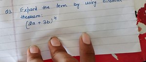 Expand the term (2a   3b)^4 using the binomial theorem.... | Filo