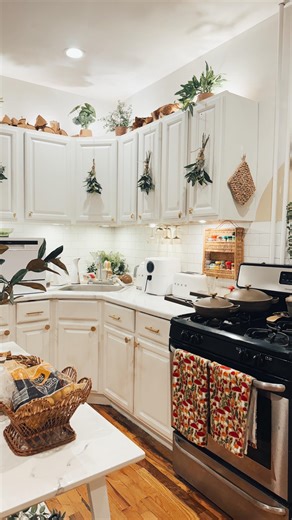 The cutest and easiest kitchen decor hack: nature themed cabinet knobs! I got mushroom, snails and cicadas and they’re the perfect touch for my cottagecore themed kitchen! Comment KNOBS and I’ll send you the link for them! 🐌🍄‍🟫✨ #kitchendecor #cottagecore #apartmentdecor | Jag Lever (I Live)