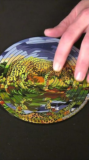 Spin, Flip, & Rotate to Solve Puzzle!