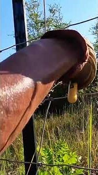 Clip Bender- how I clip a fence to T-posts