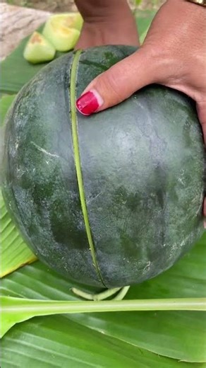 WATERMELON FRUIT #watermelon