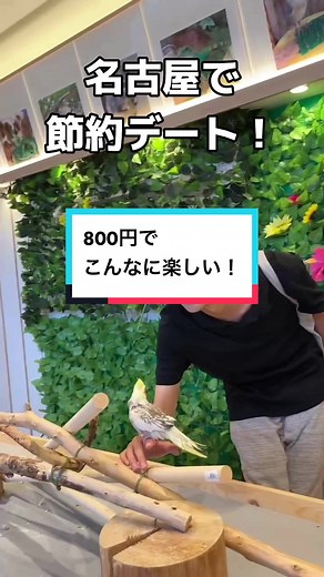 名古屋で楽しむ動物体験！800円で30種類触れ合い
