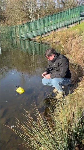 Fish Didn’t See This Coming 😱🐟 #shorts #youtubeshorts #fishhunting #fishcatch