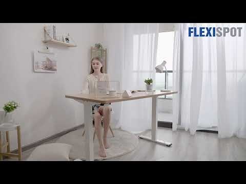 FlexiSpot Standard Standing Desk (E2)